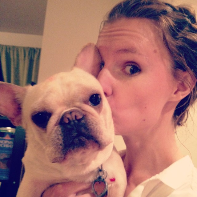 mini bulldog kiss