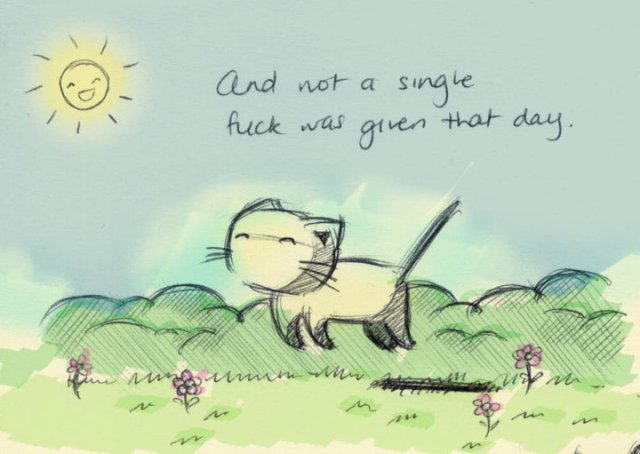 look at all the fucks i give