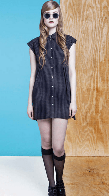 dolores haze fall 2014 check dress